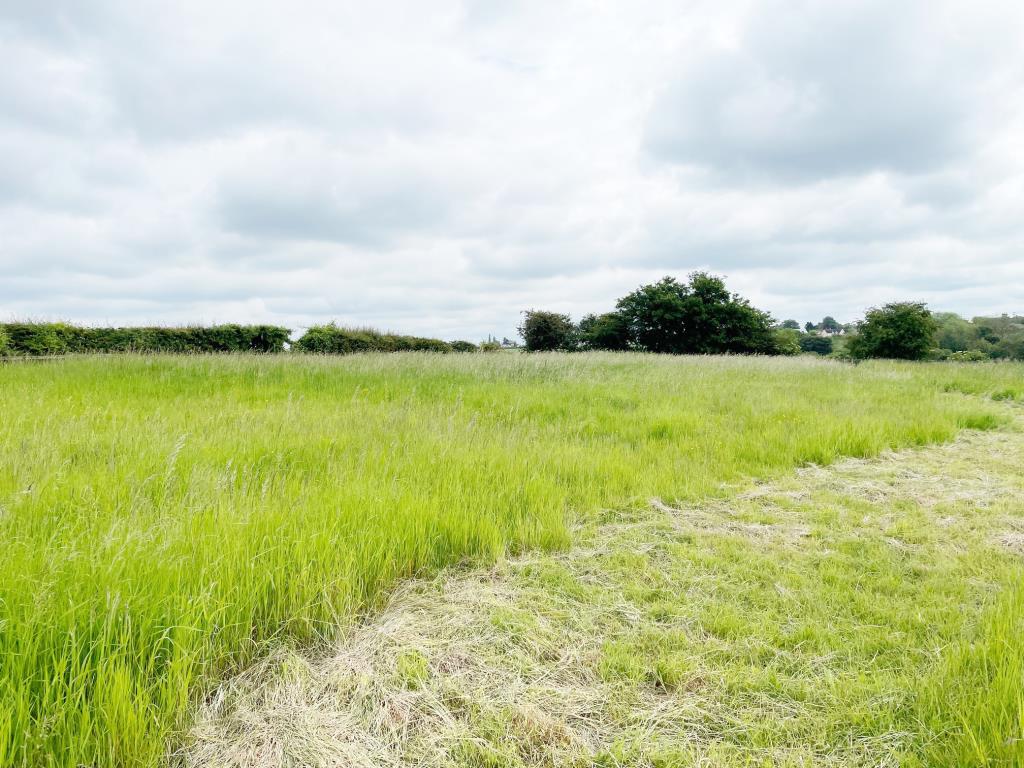 Lot: 73 - DEVELOPMENT OPPORTUNITY IN SUFFOLK VILLAGE LOCATION - view of the land looking back from the road